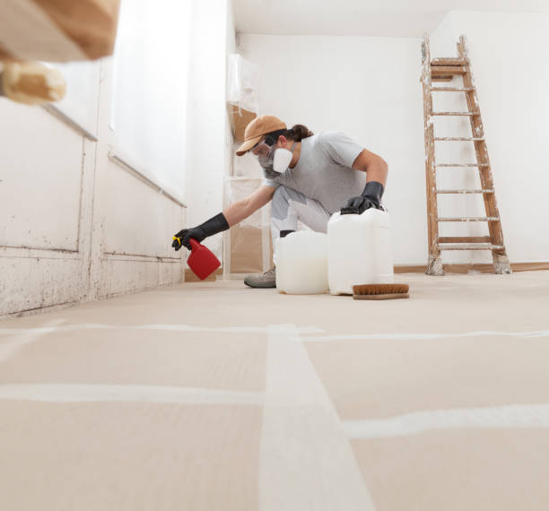 Cresskill, NJ Mold Removal Company